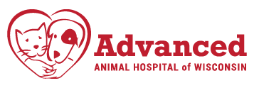 Advanced Animal Hospital Wisconsin