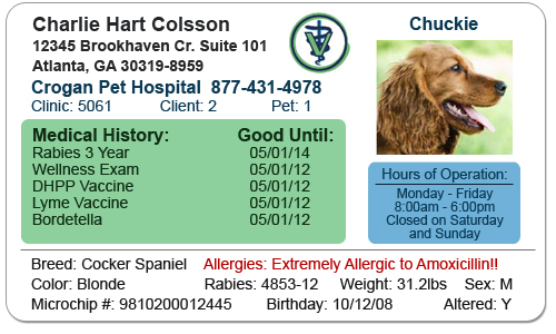 Payment Options | Advanced Animal Hospital of Wisconsin